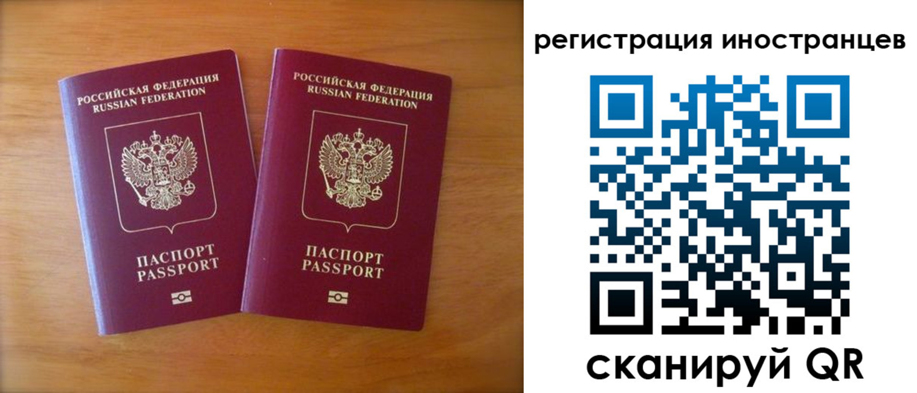 прописка поиск в Гаджиево